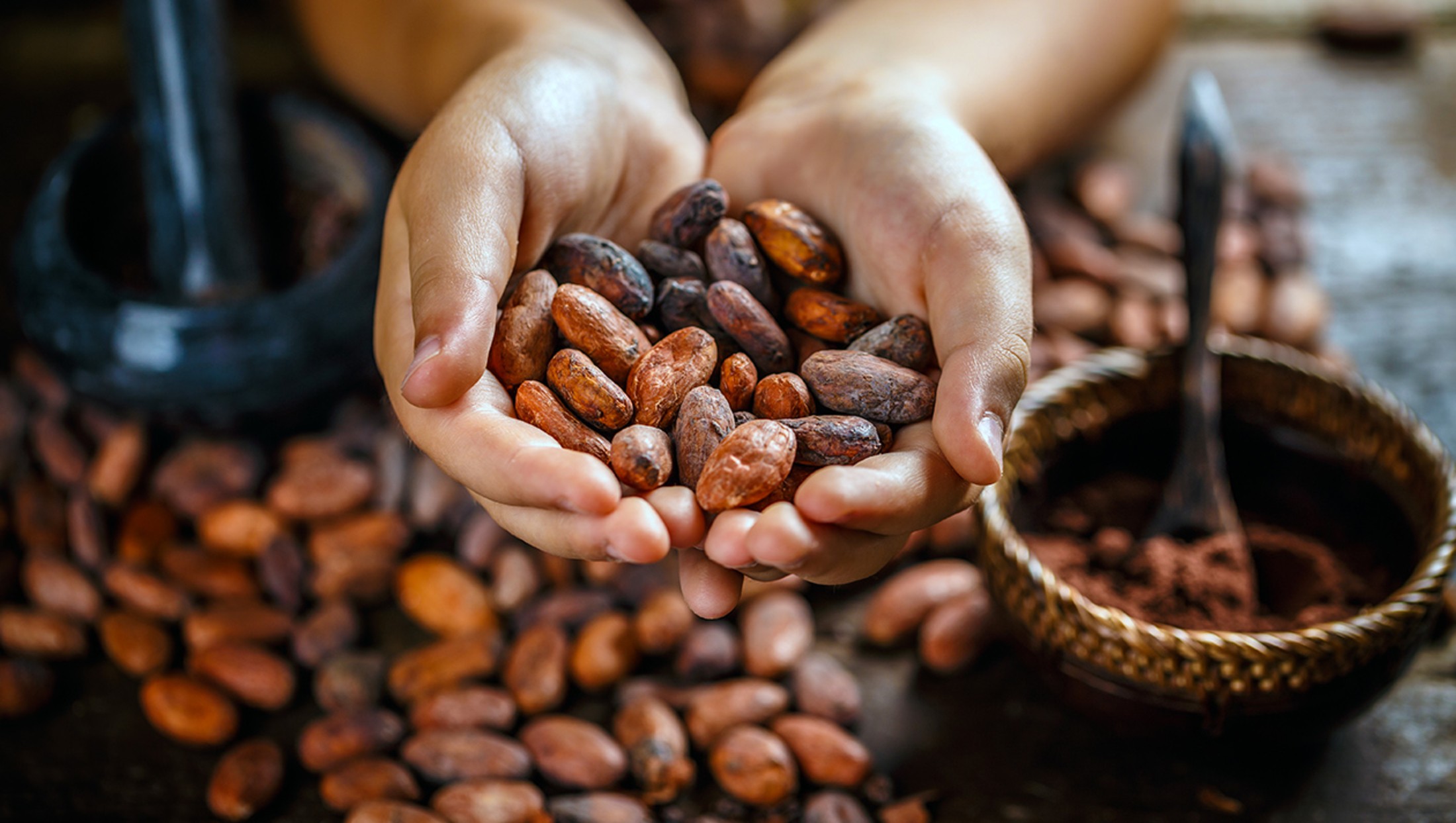 Usos Del Cacao En La Cultura Prehisp Nica Mexicana Amarxua