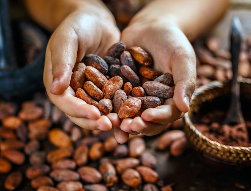 Usos prehispancos del cacao 002